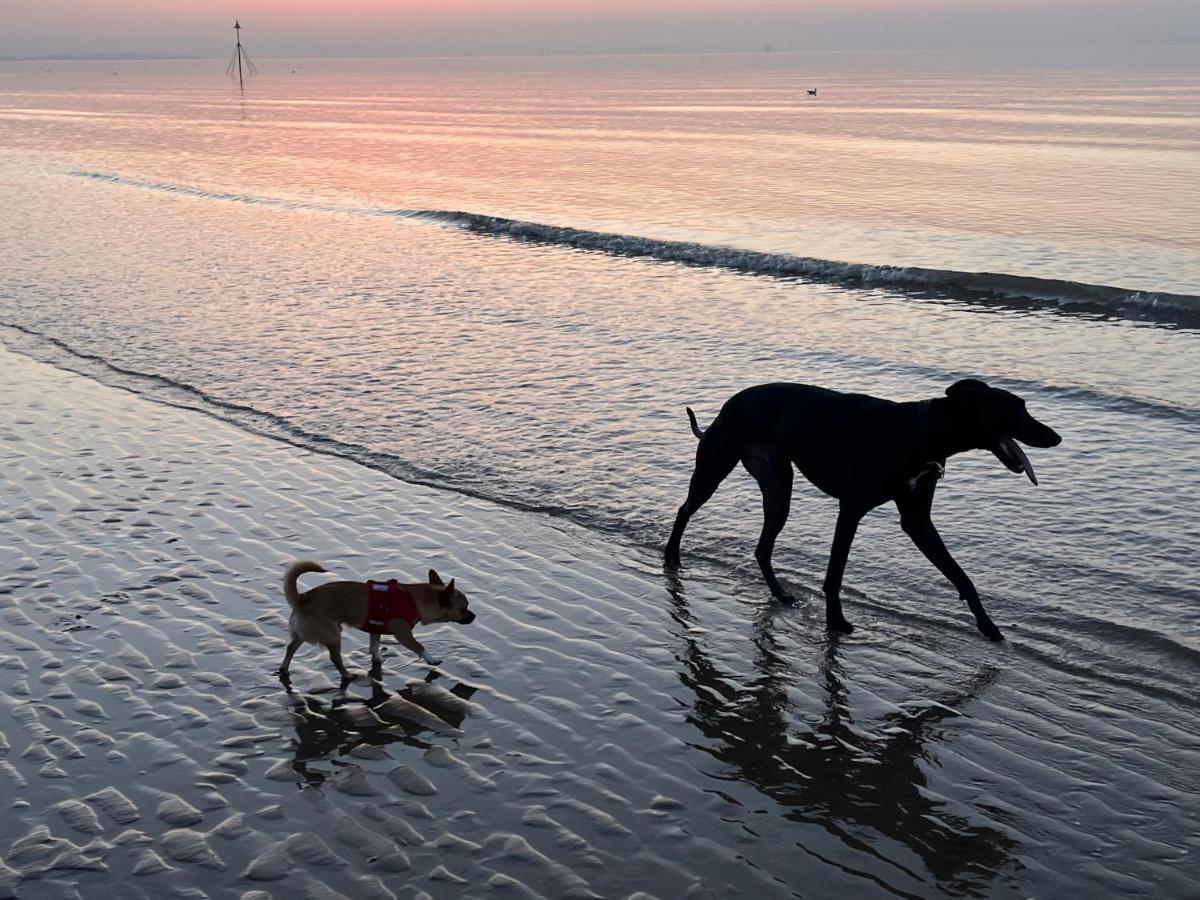 Dog Friendly Lovely Caravan By Beach Prestatyn N Wales 6 Berth Read Full Host Details Before Booking Mon In To Fri Out Fri In To Mon Out Mon To Mon Fri To Fri Only المظهر الخارجي الصورة